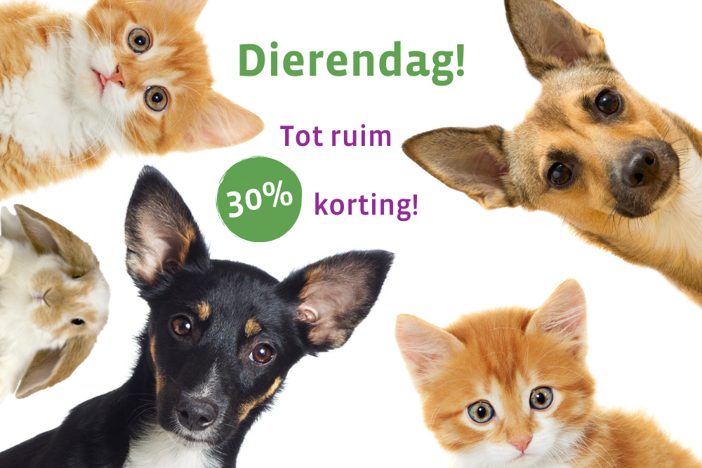 Alle dagen Dierendag Synopet hond, kat, konijn & paard